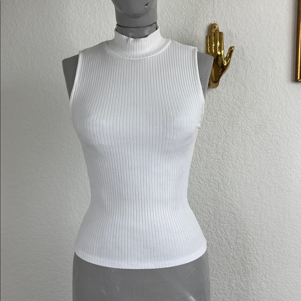 Wilfred Kerryn Ribbed Sleeveless Mock Turtleneck Aritzia